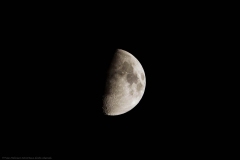 MY__8675_DxO-postraité