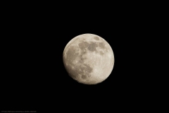 MY__8737_DxO-postraité