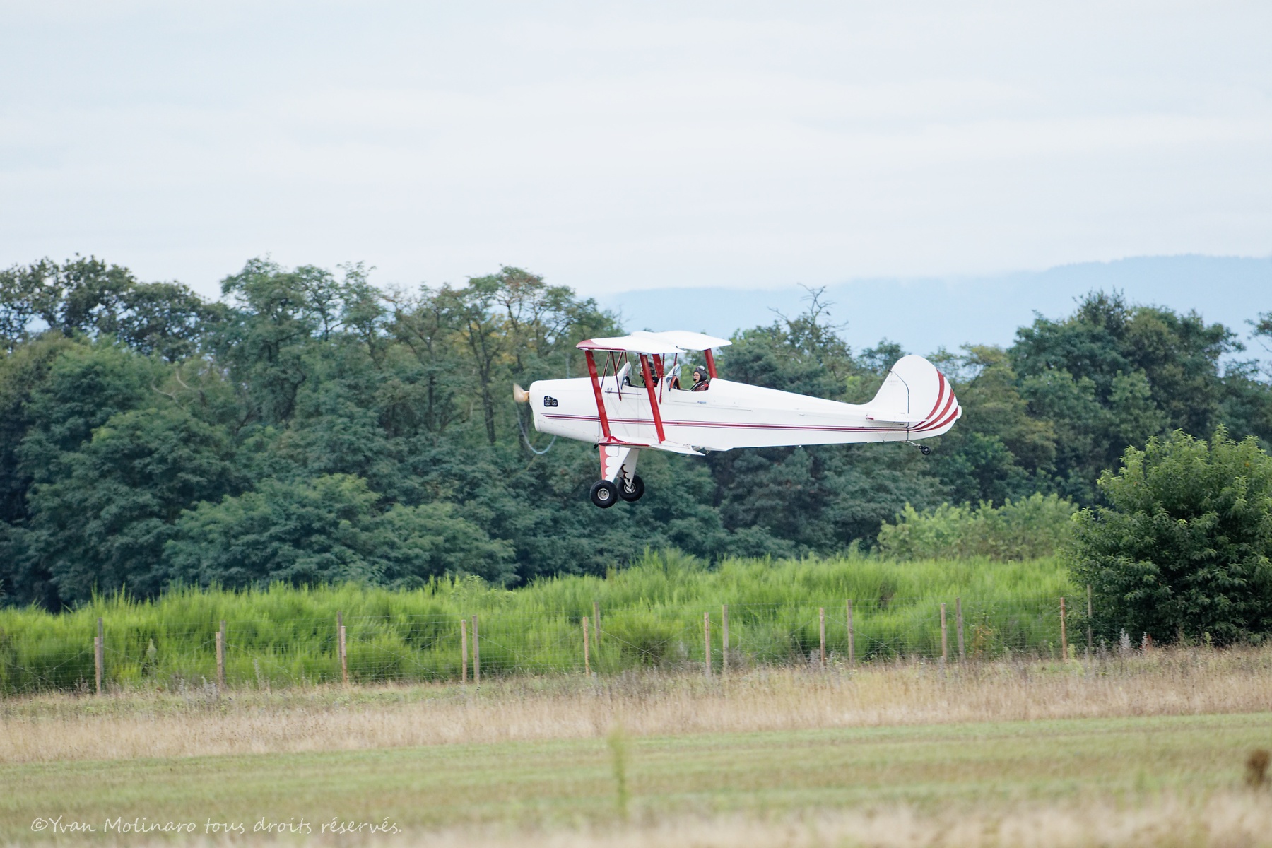 AS2A3319_DxO